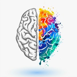 Antioxidants to Protect Your Body and Your Brain