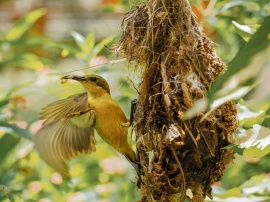 Becoming an Empty Nester
