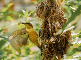 Becoming an Empty Nester