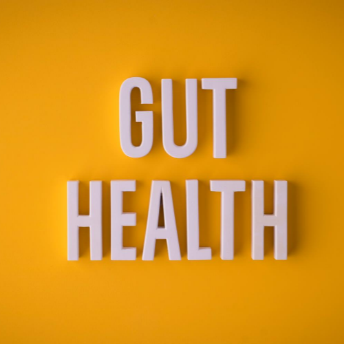 The Gut – “Our Second Brain”