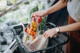 Master the Grocery Store