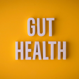 The Gut – “Our Second Brain”